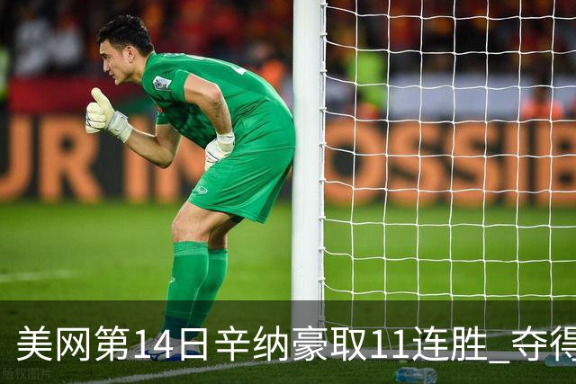 美网第14日辛纳豪取11连胜 夺得生涯大满贯第2冠